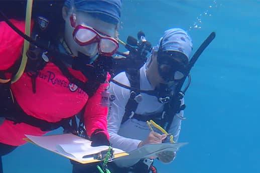 Underwater photo of two trainees at UOG Marine Lab workshop