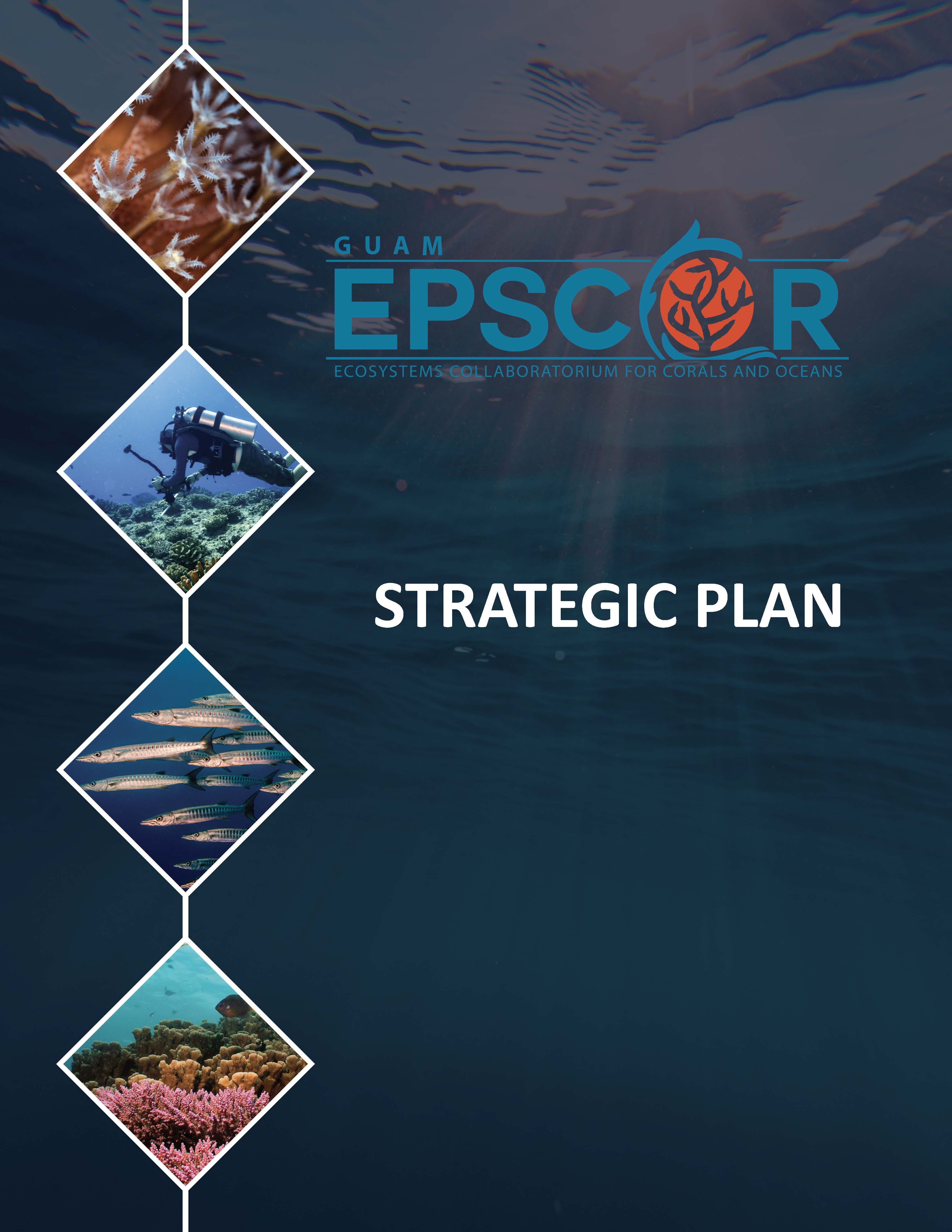 GUAM EPSCOR STRATIGIC PLANN