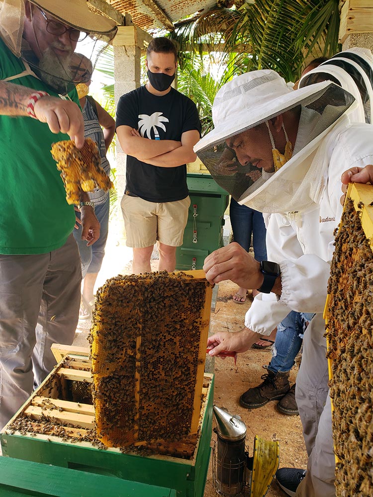 Hands-on with the bees.