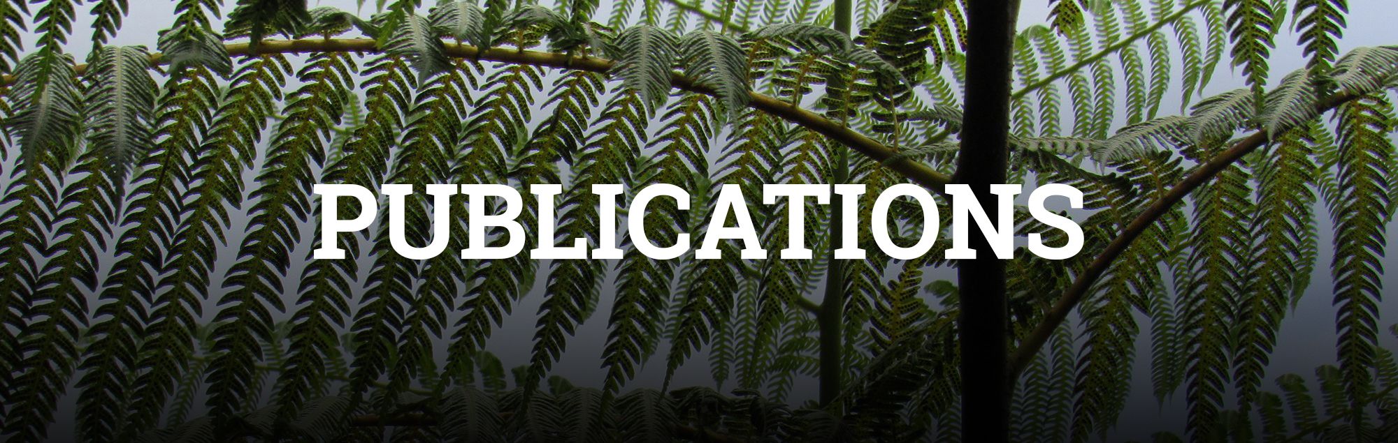 Publications Banner Image