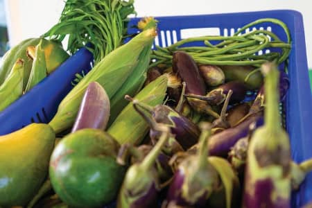 Locally grown produce, including eggplant, corn, long beans and mangoes