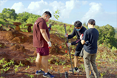 Volunteers plant trees at UGUM.