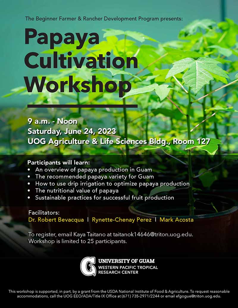 2023 papaya cultivation workshop flyer