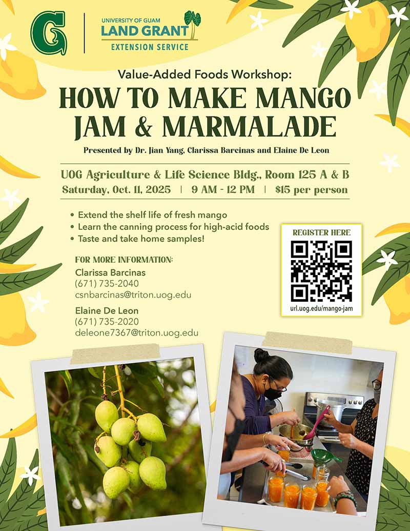 Mango Jam and Marmalade Workshop flyer