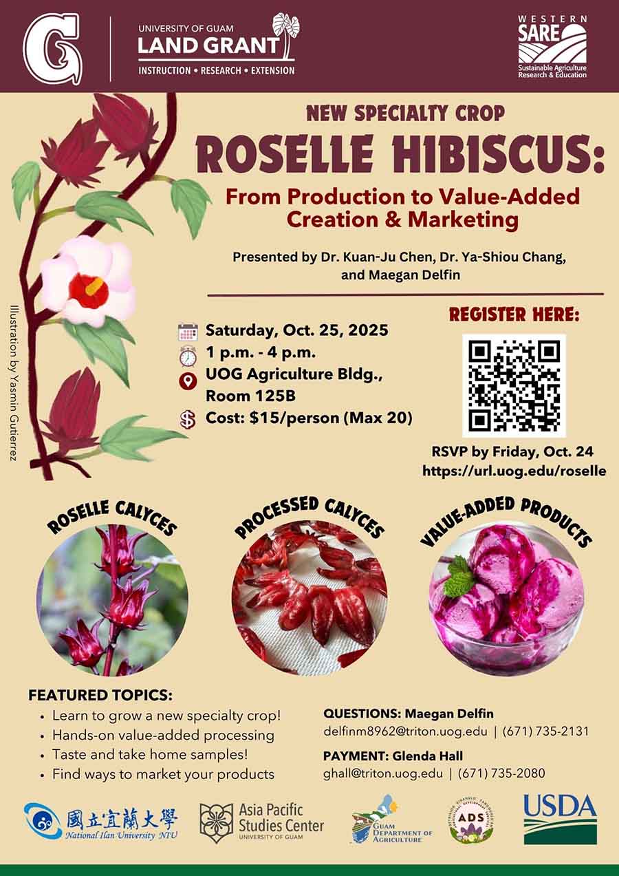 Roselle Workshop