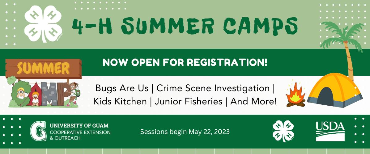 4-H Summer Camps 2023