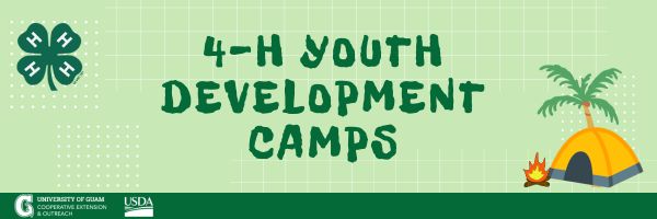 Graphic banner for 4-H Youth Development Camps