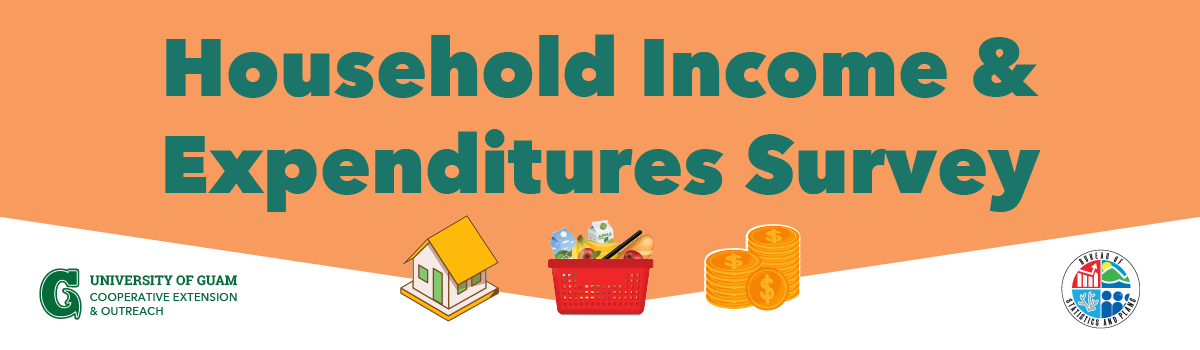 Banner for the Household Income & Expenditures Survey