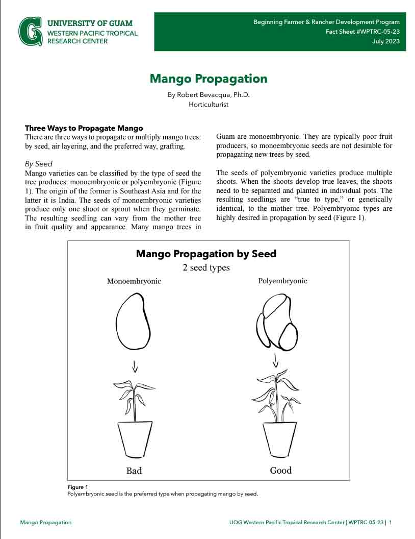 Image of Mango Propagation fact sheet publication cover