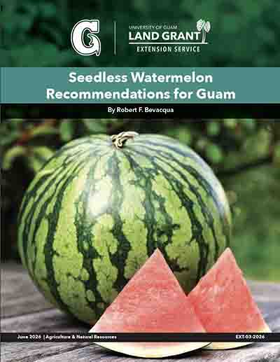 Seedless Watermelon Guide (June 2026)