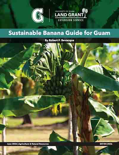 Sustainable Banana Production Guide (June 2026)