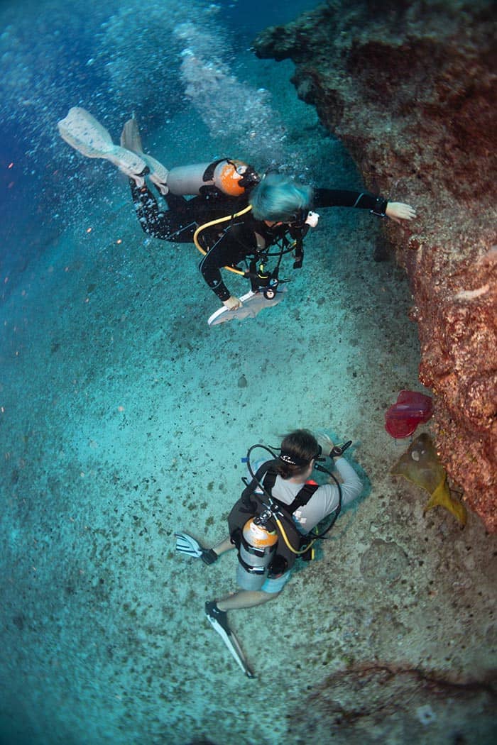 Divers Down