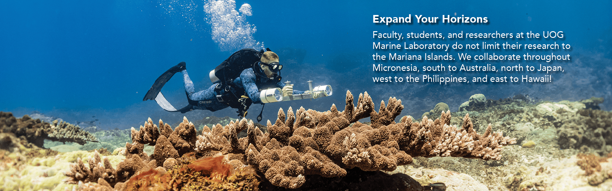 Diver on Reef doing survey with equipment.