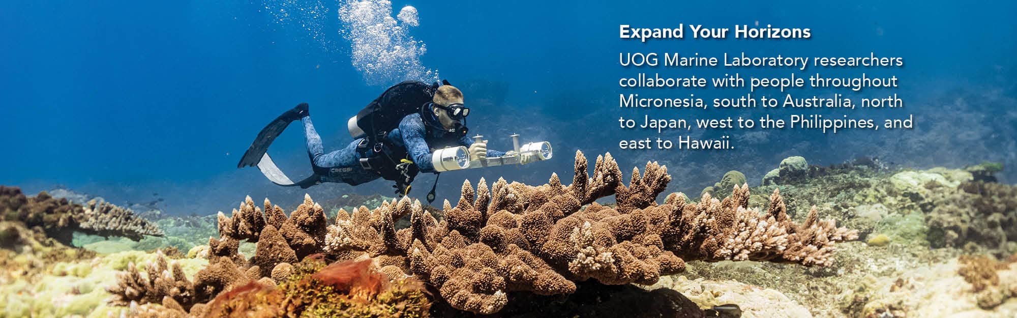Researcher conducts reef survey.