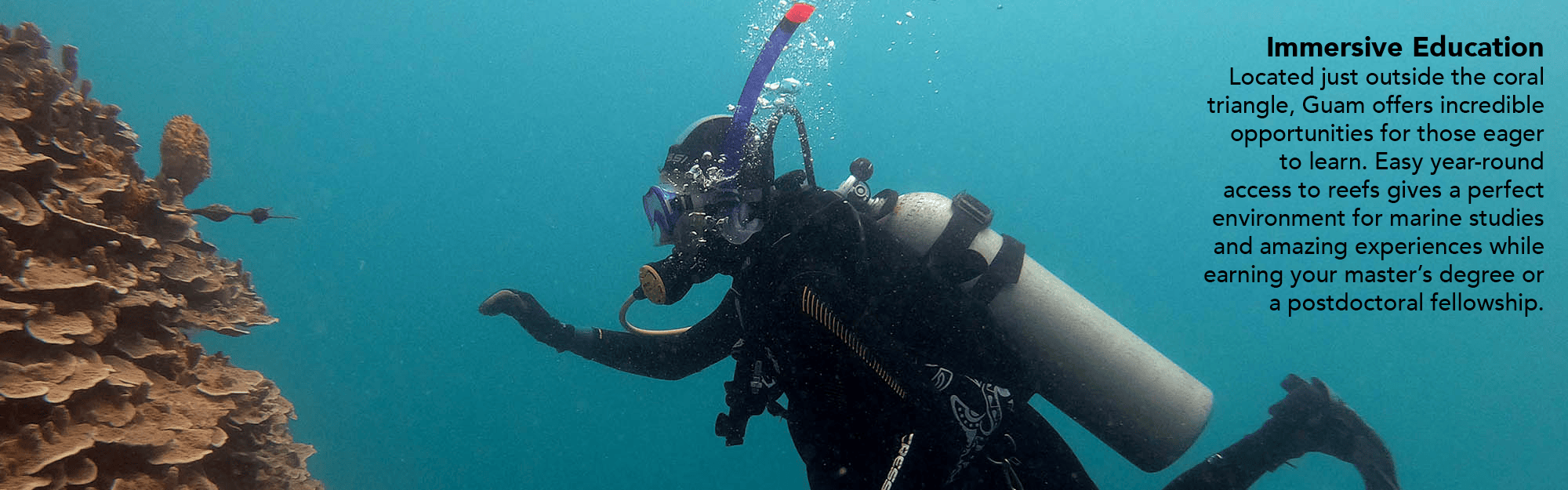 Student diver investigates coral.