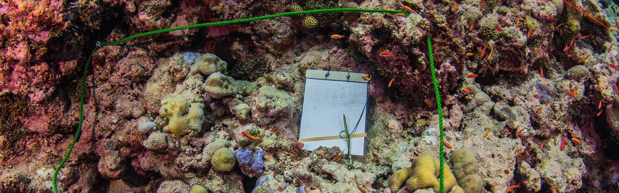 Underwater survey tablet.