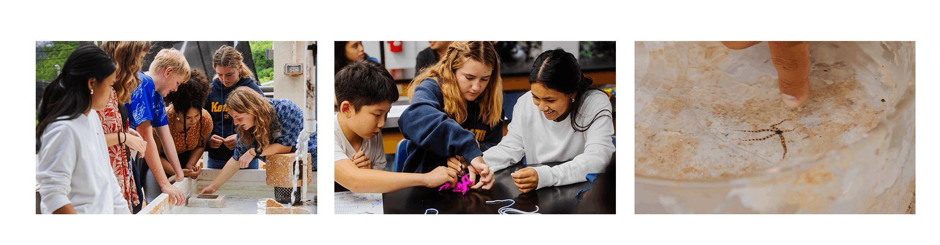 Collage of STEM Saturday Activities