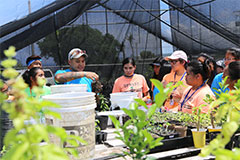 UOG Center for Island Sustainability Research Associate Raymond Shinohara shares a lesson on food security with high school students enrolled in UOG’s Upward Bound program.