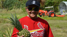 UOG agriculture students learn about pineapple propagation.