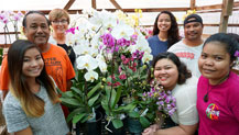 A tissue culture laboratory and nursery team at the Guam Department of Agriculture and the University of Guam’s Western Pacific Tropical Research Center are accepting sickly orchids from the public and exchanging them free of charge for healthy phalaenopsis or dendrobium seedlings or mature plants. The two entities are also offering free one- to two-week courses on how to grow and propagate healthy orchids.