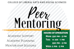 College of Liberal Arts and Social Sciences peer mentoring program