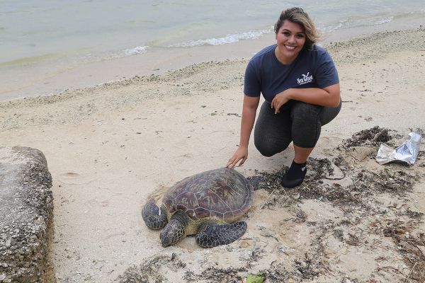 Josefa Muñoz tends to a sea turtle