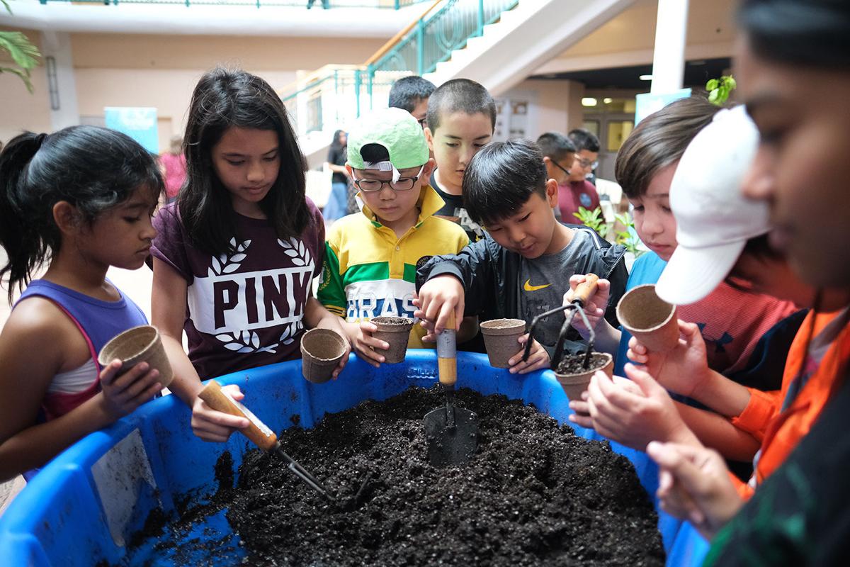 Students participate at STEM & Sustainability Expo