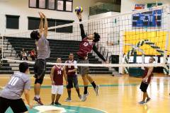 Men's Volleyball Club starts series in April