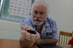 In the News: Associate Professor of Entomology Aubrey Moore