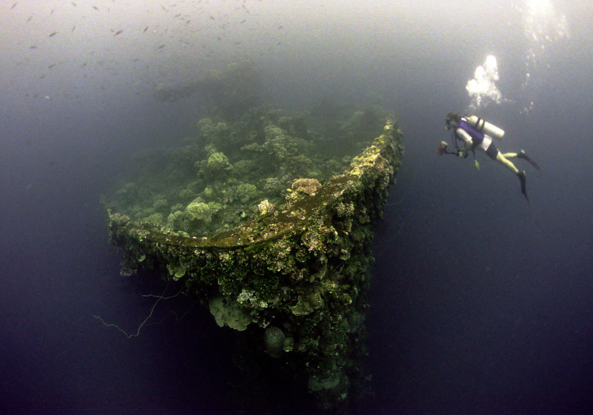 The bow of the 7,000-ton Fujikawa Maru shipwreck in Chuuk Lagoon.  Photo by Greg Adams