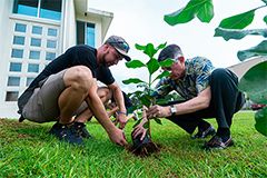 planting native species