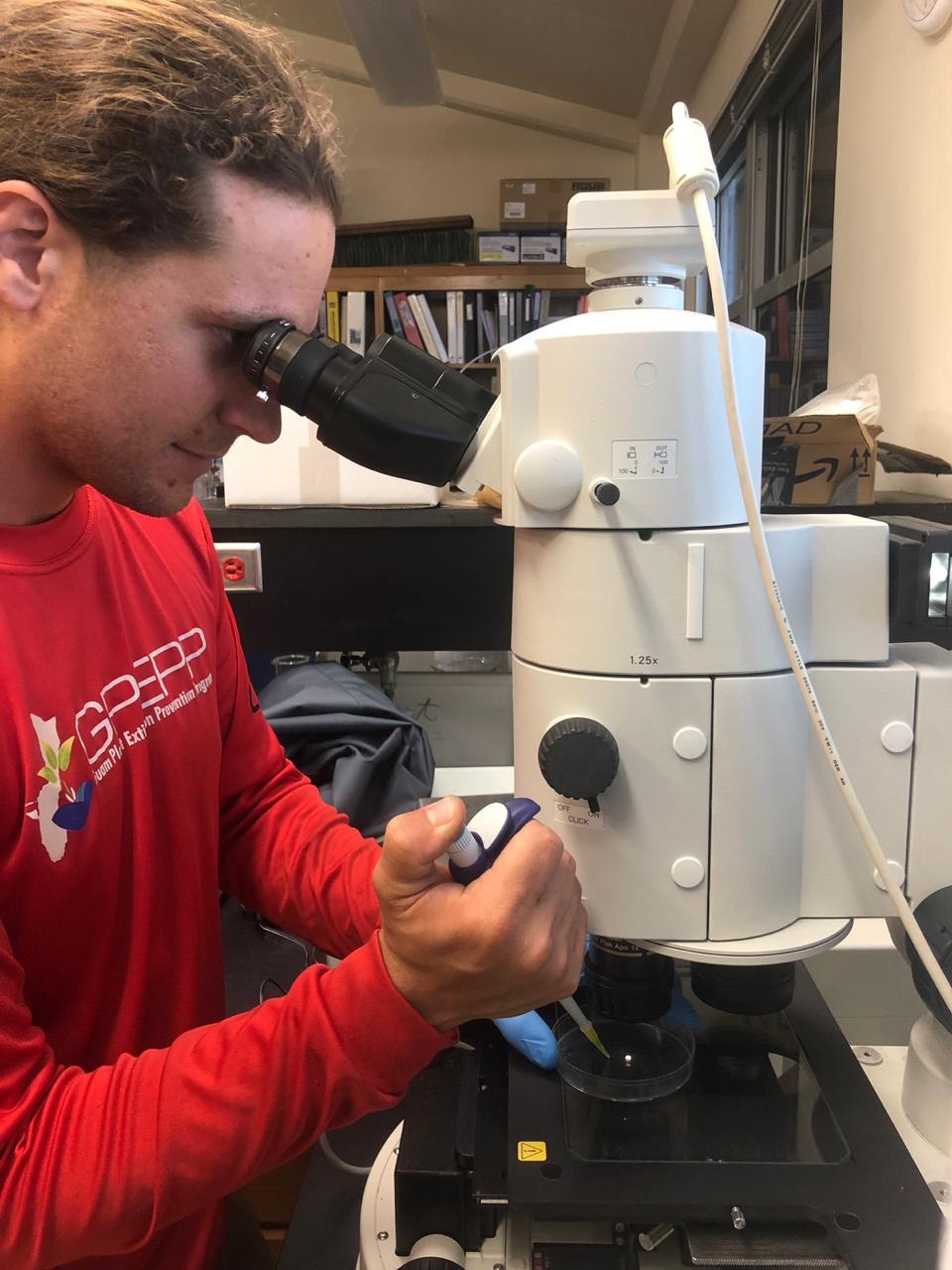Mario Martinez examines orchid roots under a microscope.