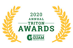 Triton Awards Logo