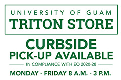 Triton Store flyer