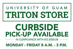 Triton Store flyer