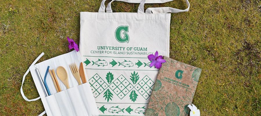 Photo of resuable products, inculding a tote bag, a notebook made of organic material, a set of wooden utensils, and metal straws.