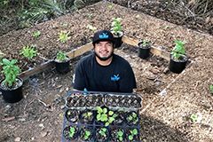 Photo of a guy that is carrying a pan of newly planted plants in his yard.