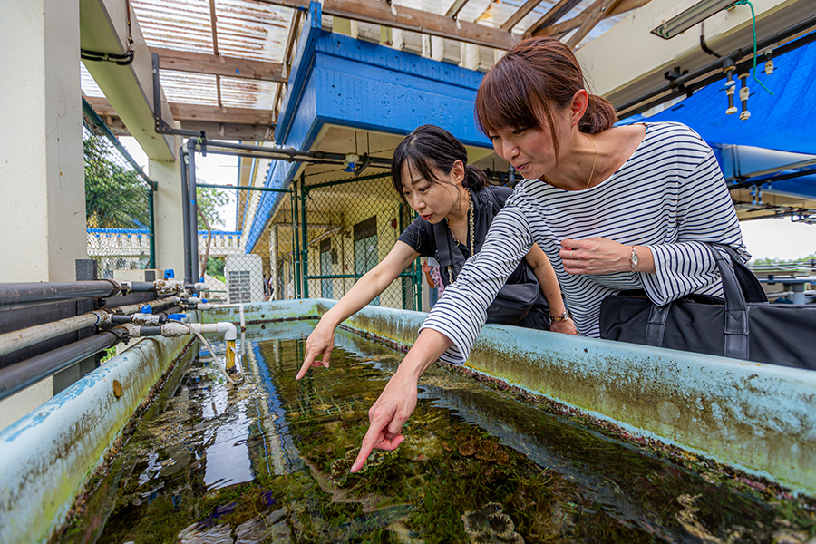 Visitors from Kyoto Kameoka High School touring the Marine Lab