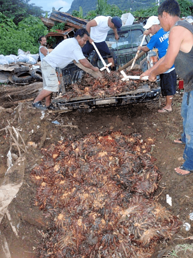 A coral reef monitoring team in Pohnpei