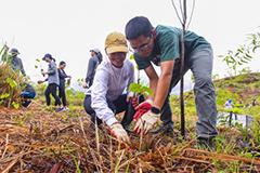 Tree planting