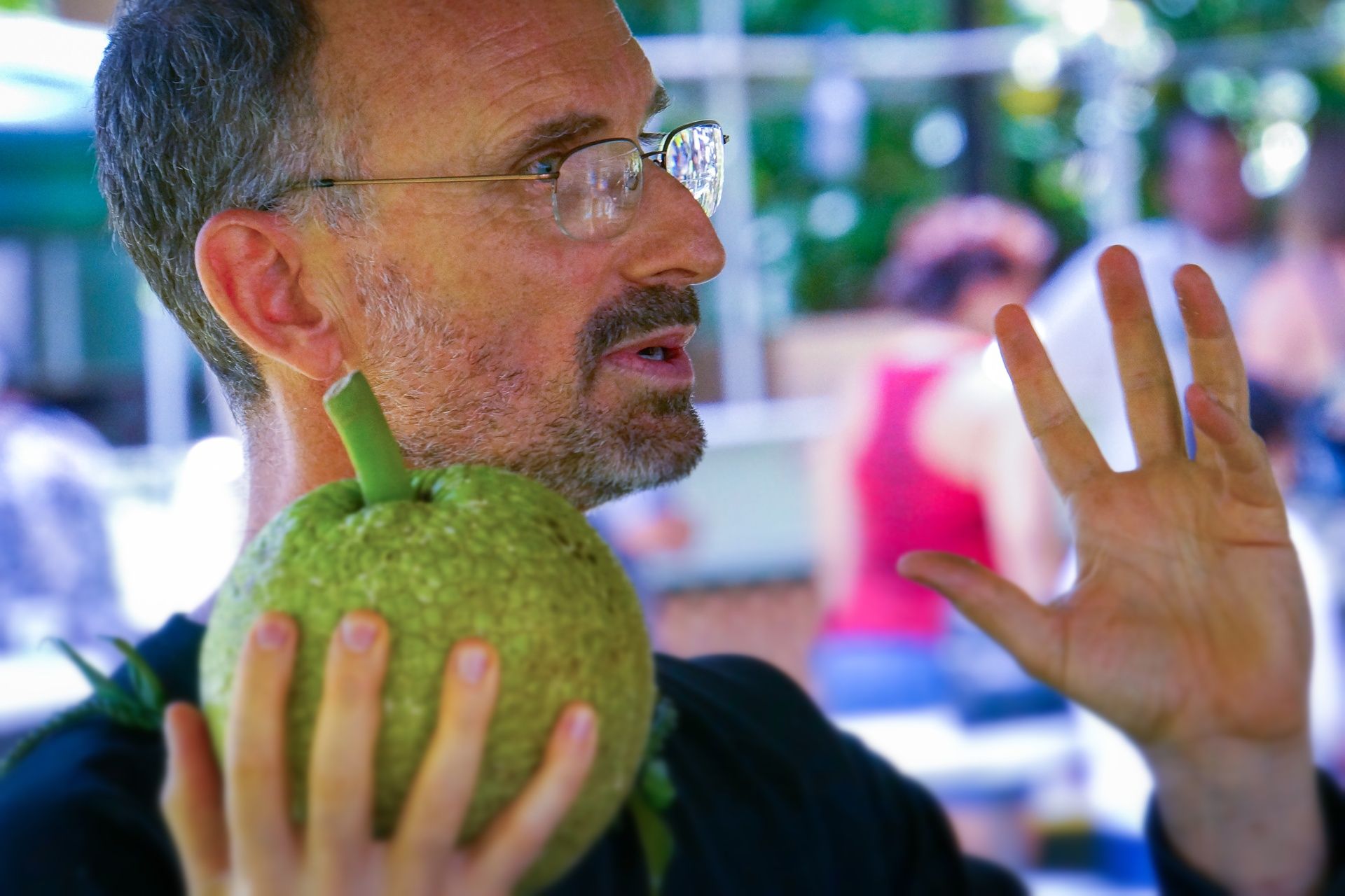 Craig Elevitch conducts a training on breadfruit. 