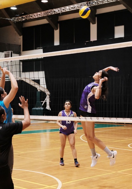 Tritons setter Rea Dimag watches as her teammate Laressa Halladay gets ready to spike the ball.