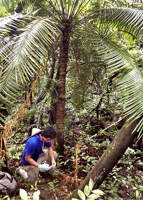 UOG Research Associate