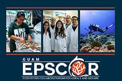 Are you interested in the sustainability of coral reefs and the marine environment? Guam EPSCoR has a valuable opportunity for you.