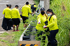 Photo of members of the G3 Conservation Corps conduct a roadside cleanup