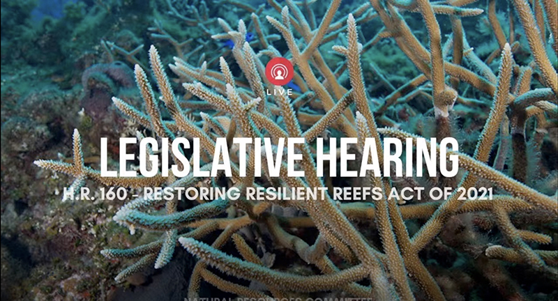Restoring Resilient Reefs Act hearing
