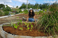 Associate Director Else Demeulenaere of the UOG Center for Island Sustainability shares several benefits of green roofs