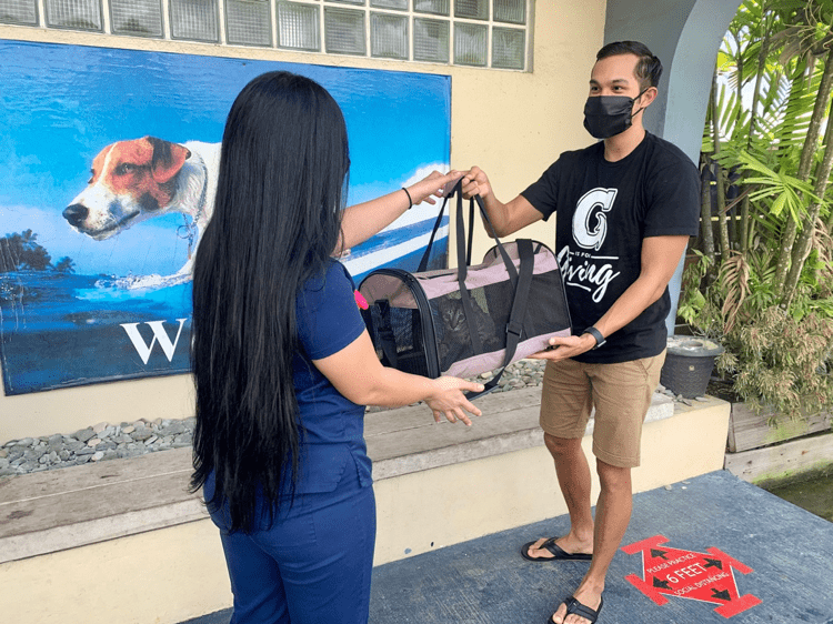 Photo of person dropping off a cat at a vet