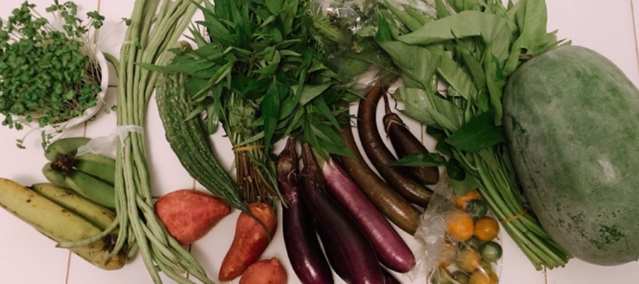 Photo of a organic vegetables on a kitchen counter