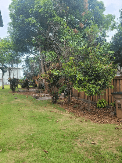 Paipai and A'abang garden